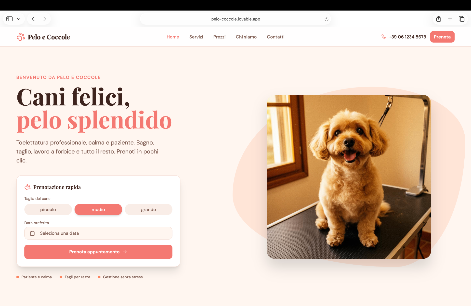 Anteprima del sito Pelo & Coccole